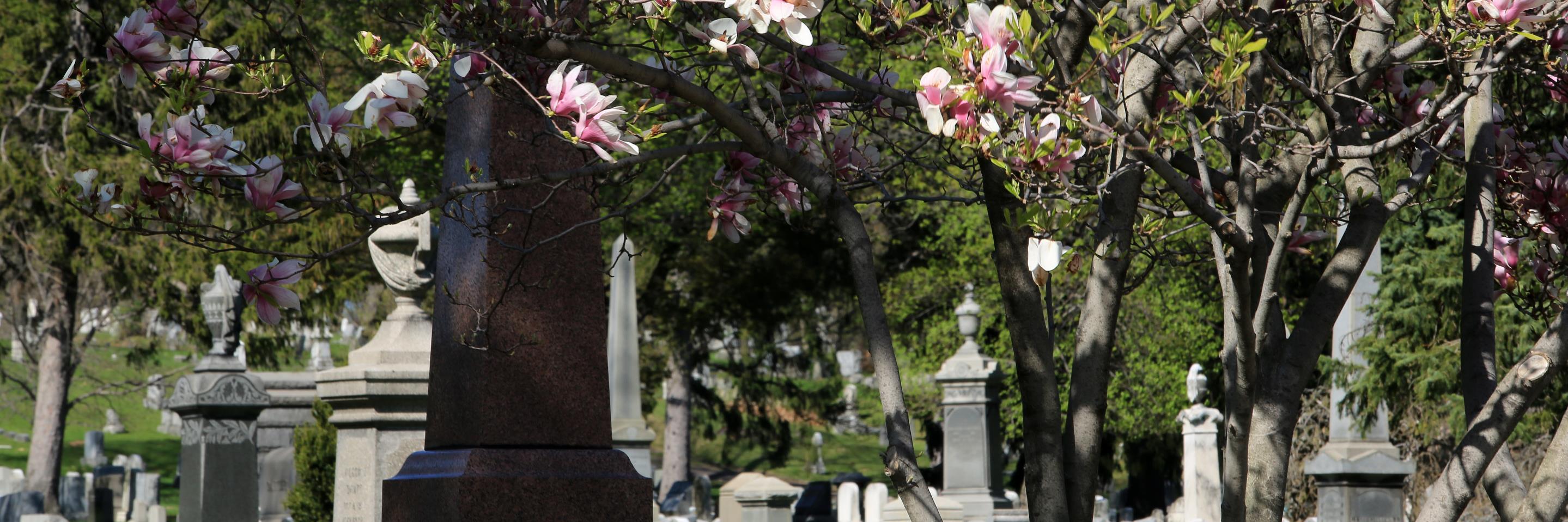 Mount Hope Cemetery banner