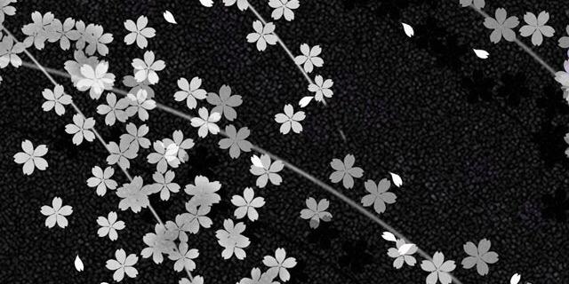 SuzanneJessen's profile banner image