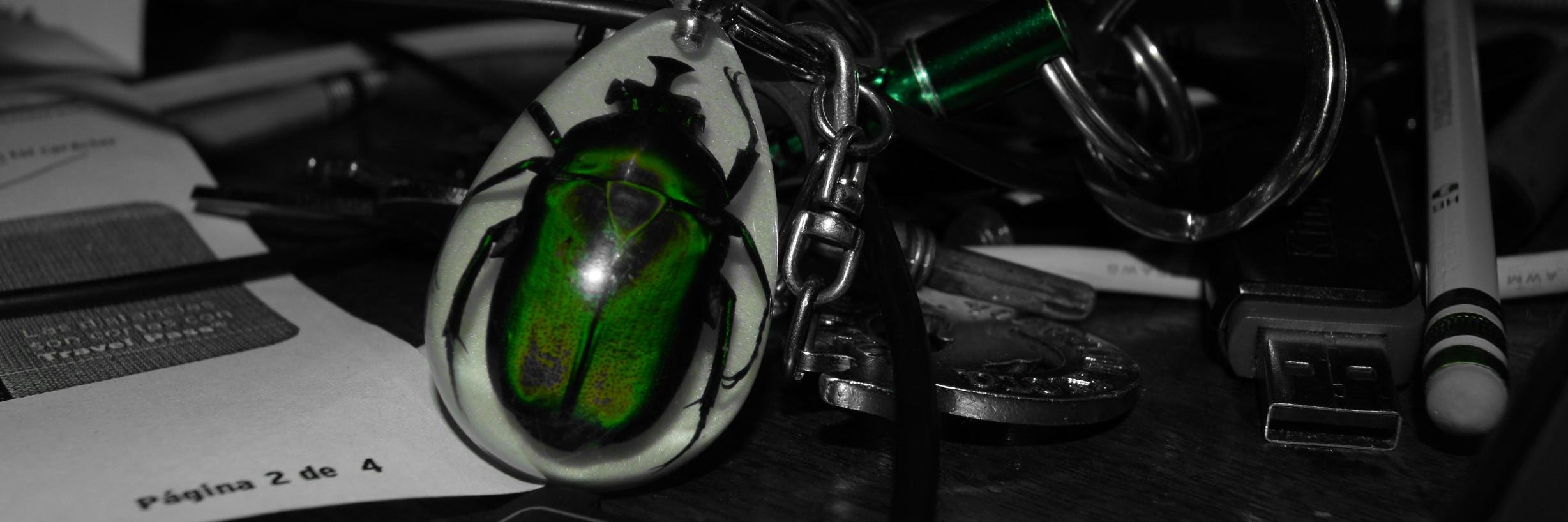 Pablolcastillo's profile banner image