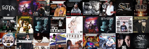 TermanologyST Profile Banner