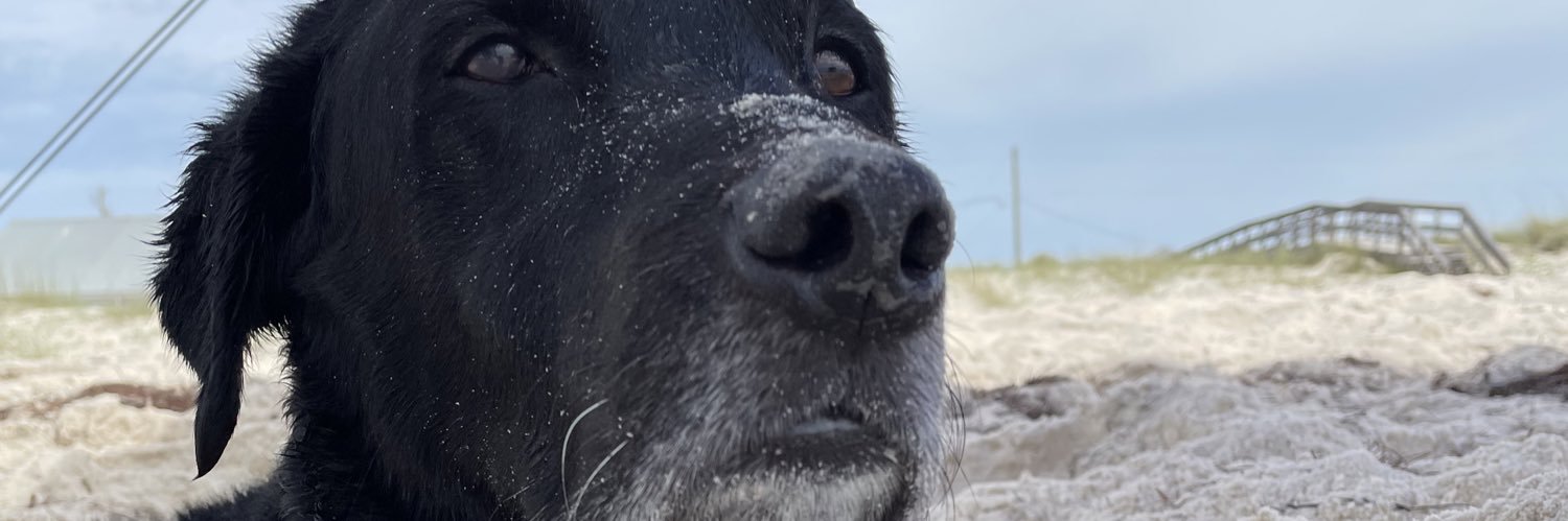 JaguarRules's profile banner image