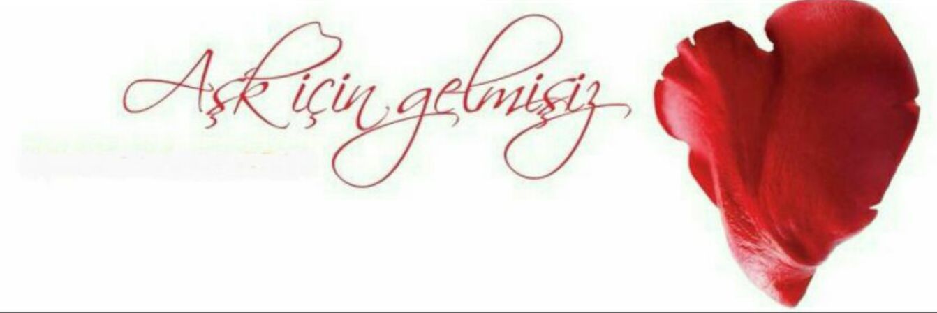 ahuakinci's profile banner image