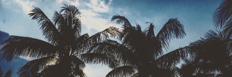 Israel_Paredes's profile banner image