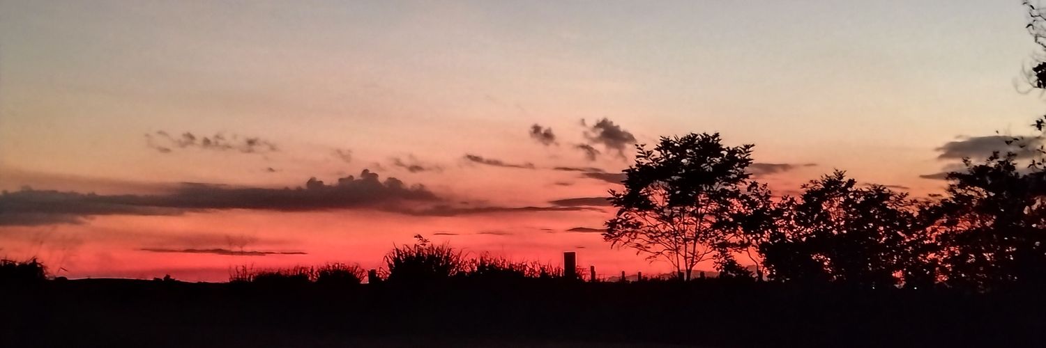 theysomething's profile banner image