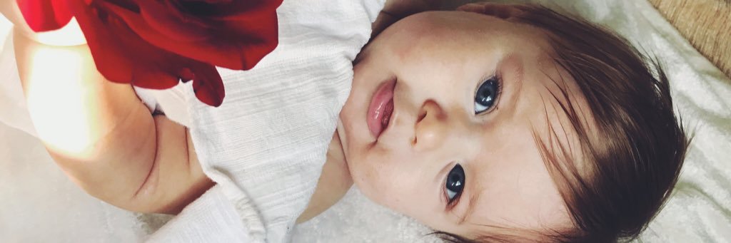 ShayleeOx's profile banner image
