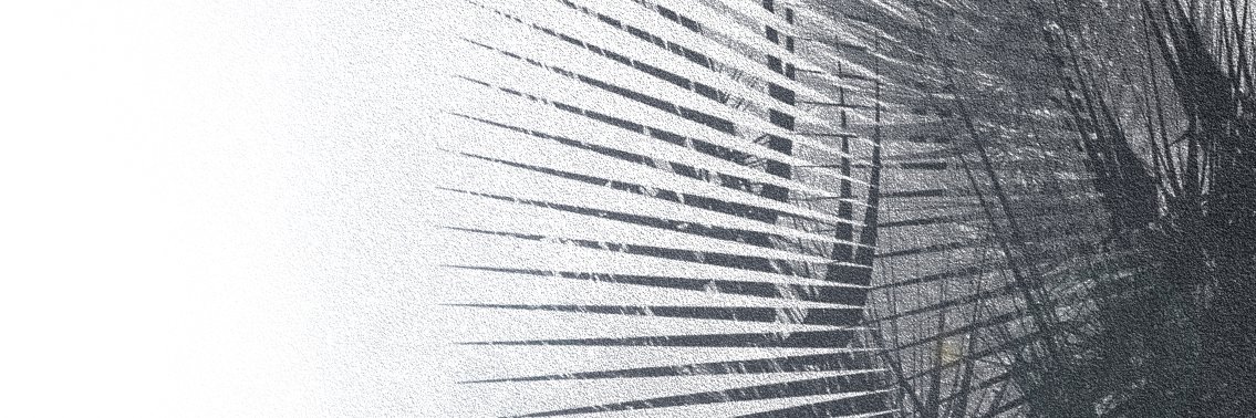 Sonome9's profile banner image