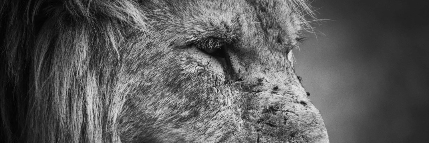 timchilds60's profile banner image