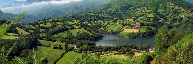 Feliastur's profile banner image
