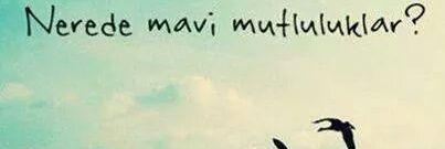 mavis_lover's profile banner image