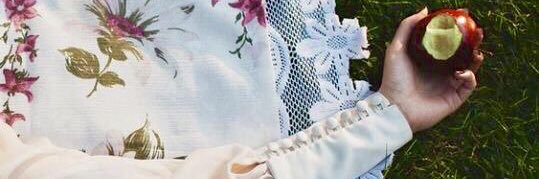 Domi banner