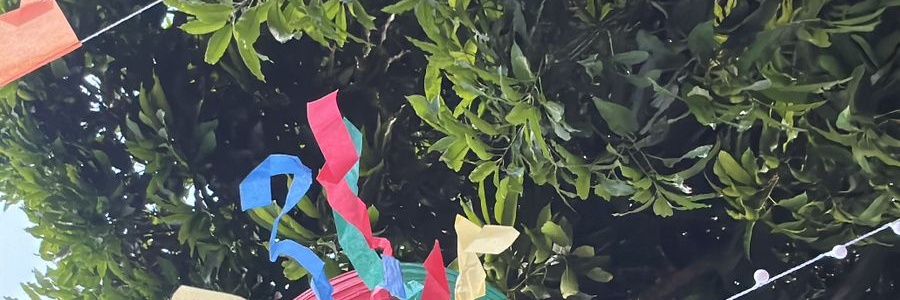 ally_inacio's profile banner image