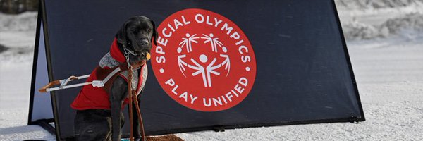 nedskee Profile Banner