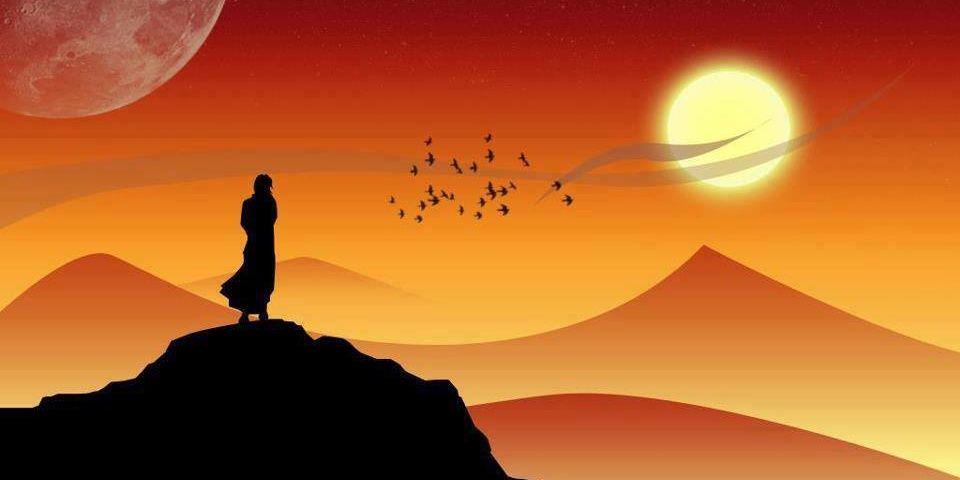 diasc258's profile banner image