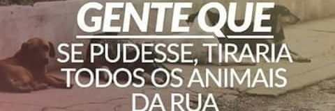 help_andrea's profile banner image
