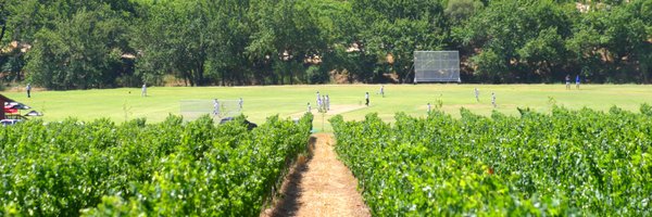 SportingWine Profile Banner