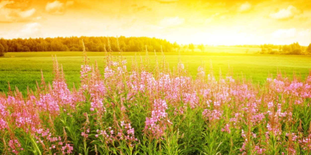 jenn_rivers's profile banner image