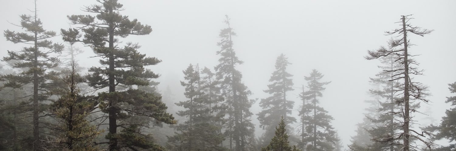fpfun's profile banner image