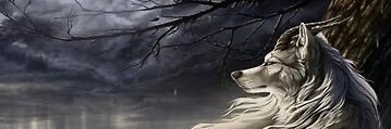 queennaeasf's profile banner image