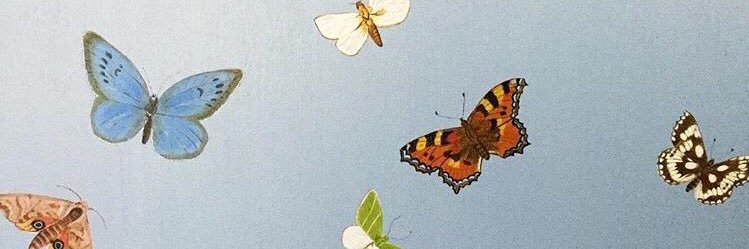 staeph⁷𖧵 banner