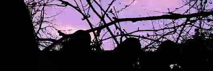 pinarpinar_00's profile banner image