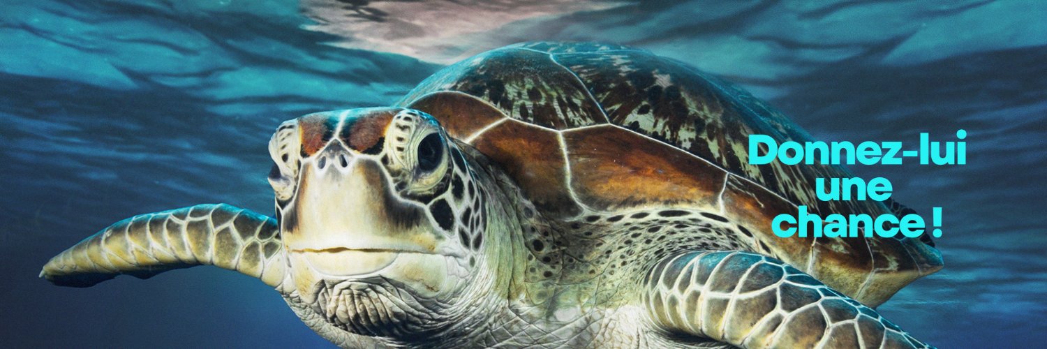 Fondation de la Mer banner