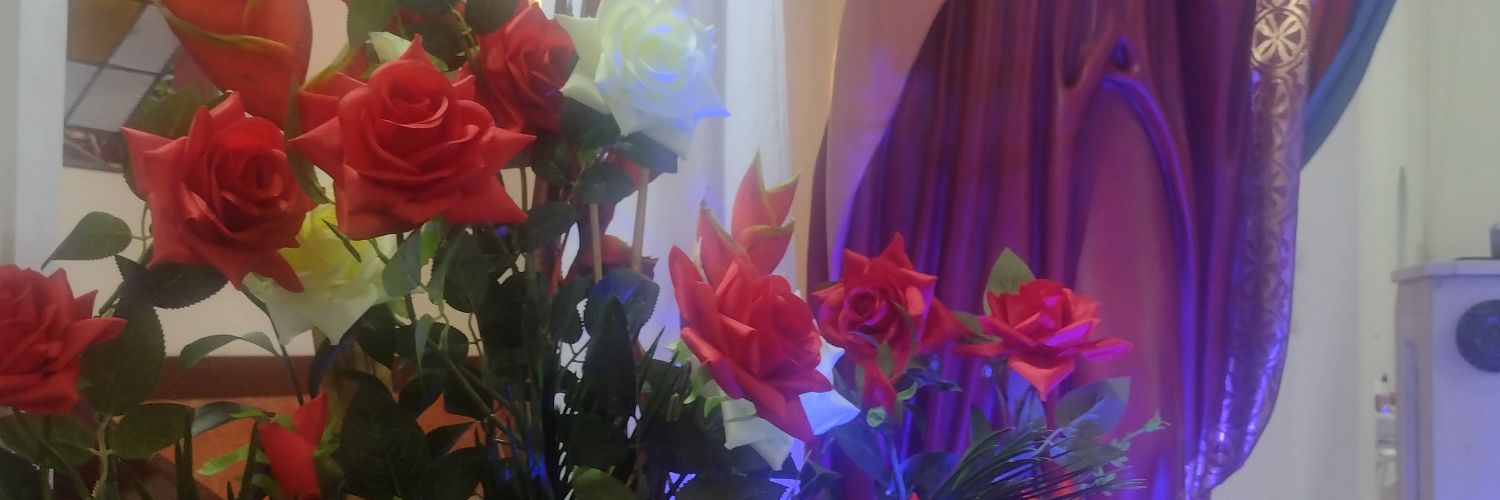 mavecaprimera's profile banner image
