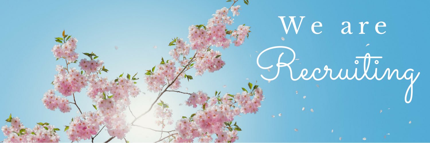 LuloBeauty's profile banner image