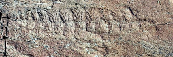 FossilRod Profile Banner