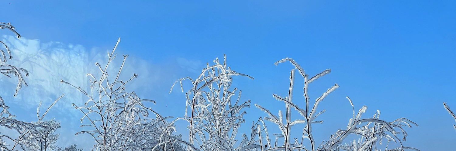 mslndm's profile banner image