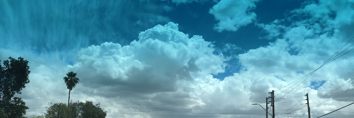 BigDee banner
