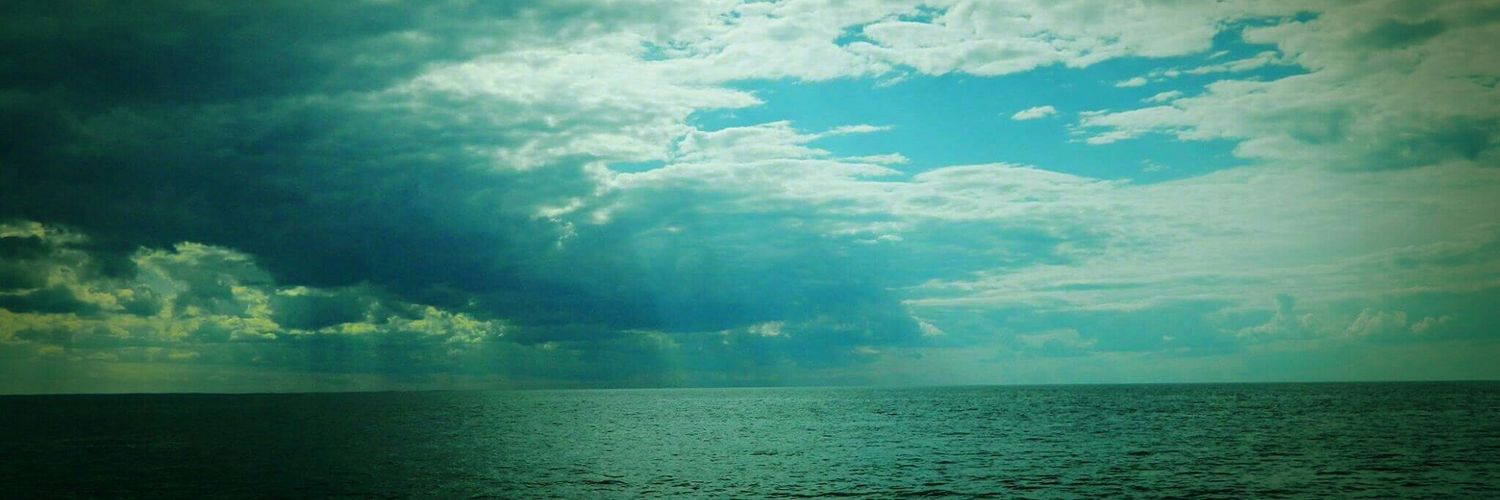 thefinbow's profile banner image