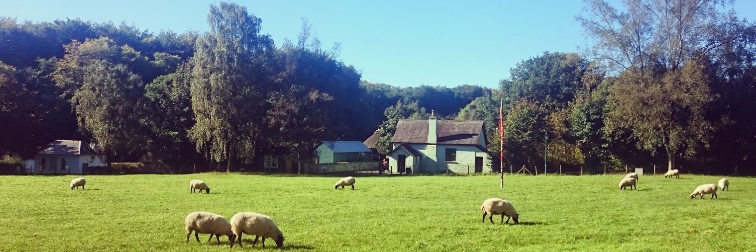 Bivlar's profile banner image