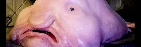 LiebertKaeden's profile banner image