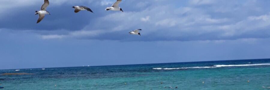 PattyRuiz1602's profile banner image