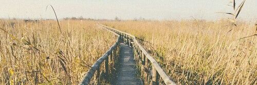 zehra_karaoglu's profile banner image