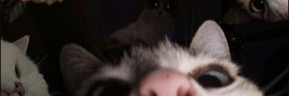 https:// banner