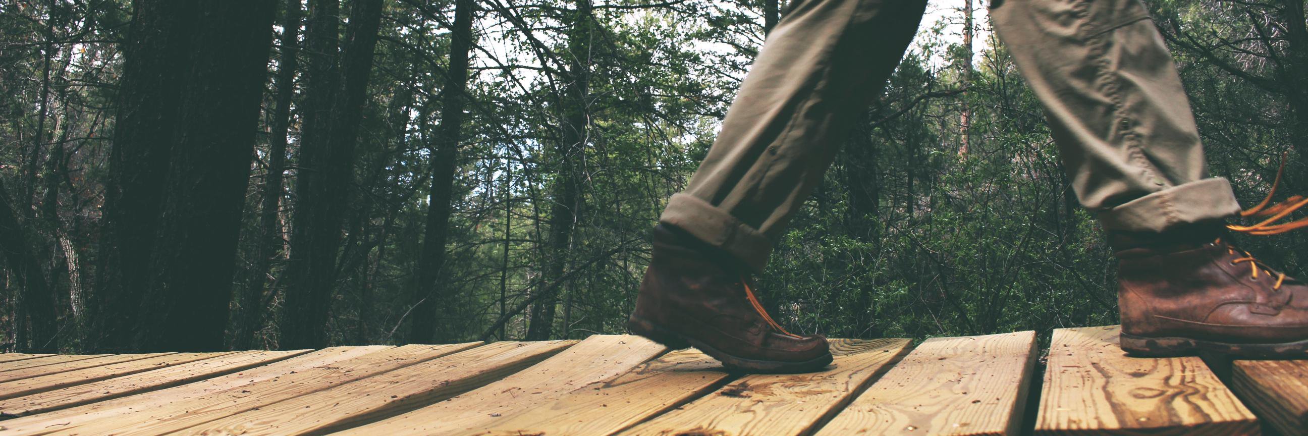 Argus Fitness App banner