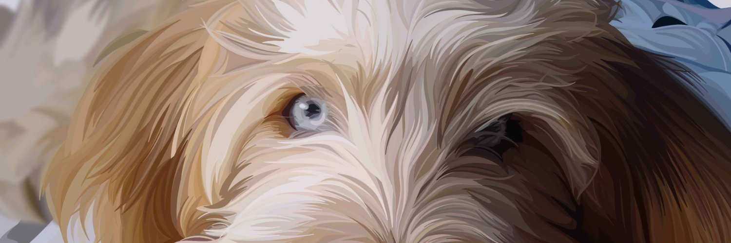ines_chambel's profile banner image
