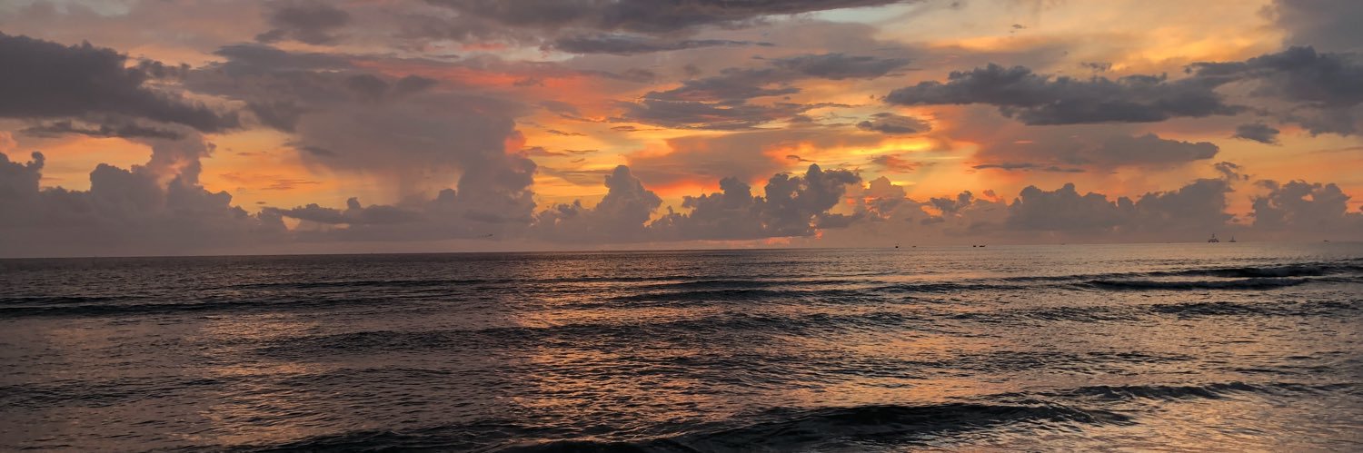zitamdiaz's profile banner image