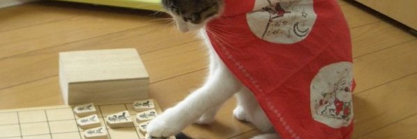 kohiro19's profile banner image