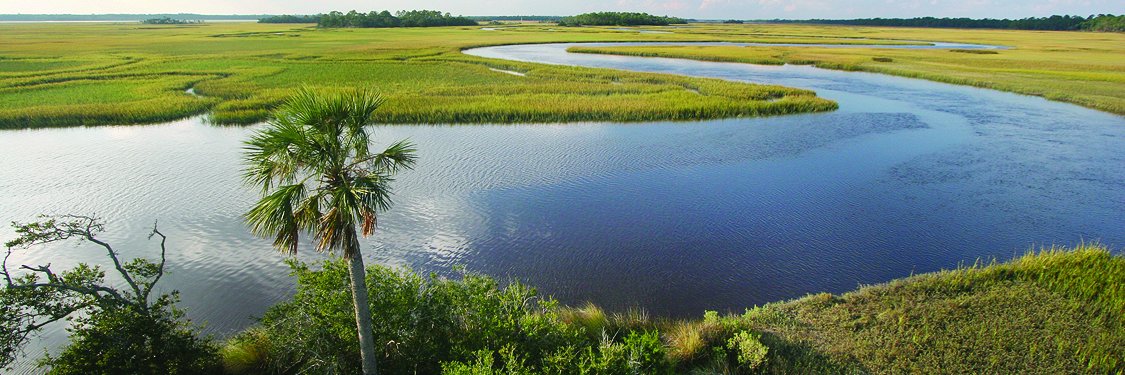 Keep Florida Beautiful banner
