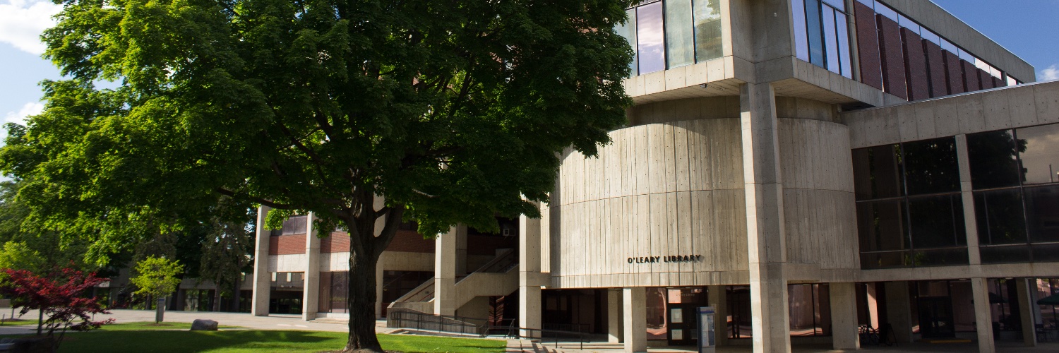 UMass Lowell FAHSS banner