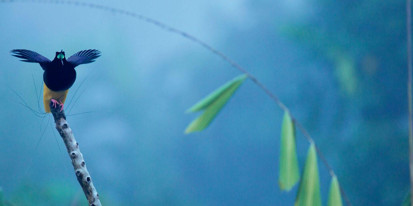 LawrenceAy's profile banner image