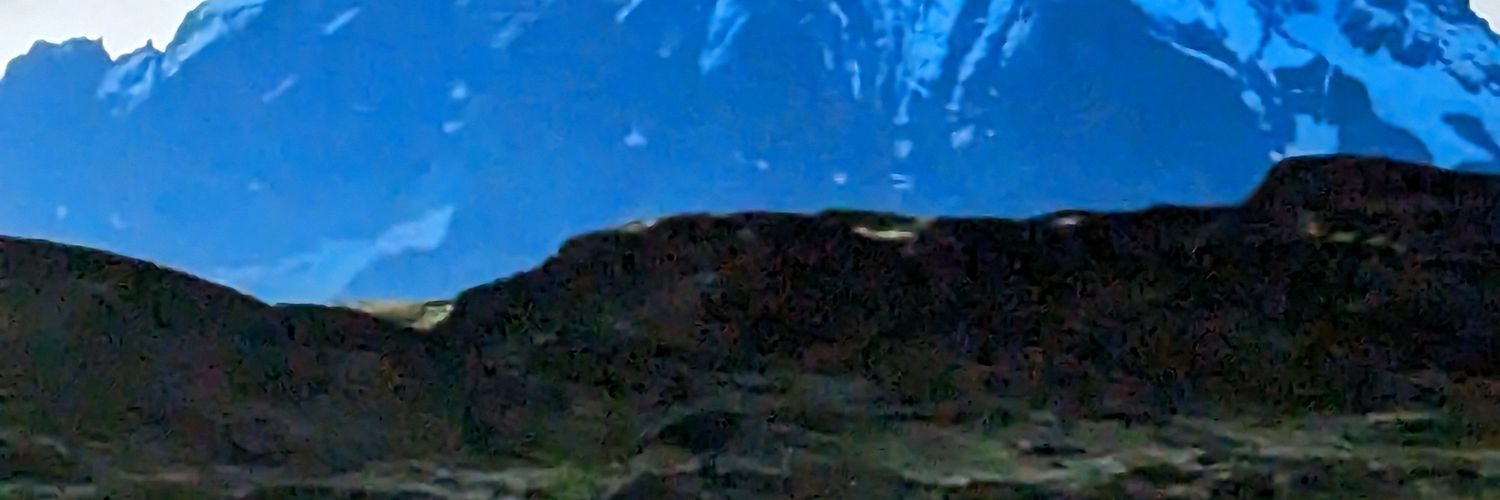 angeladevall's profile banner image