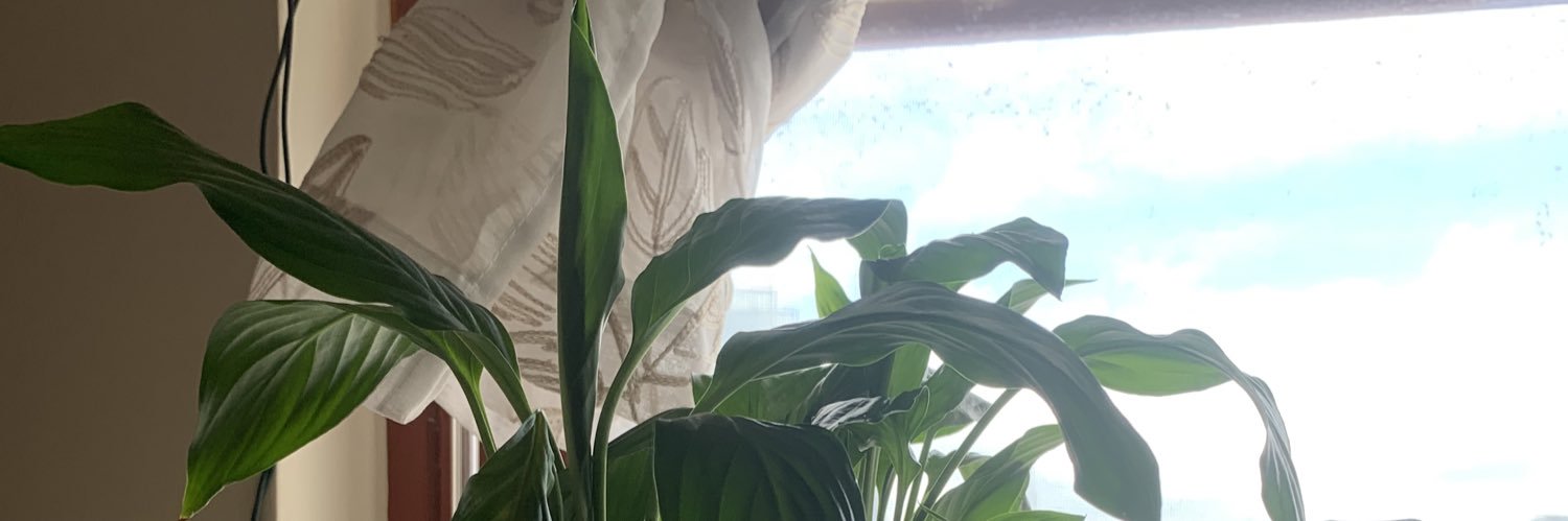 COCKY CAKEMAN © banner