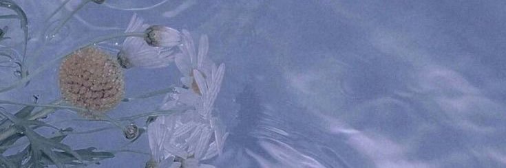 EmileighWalker's profile banner image