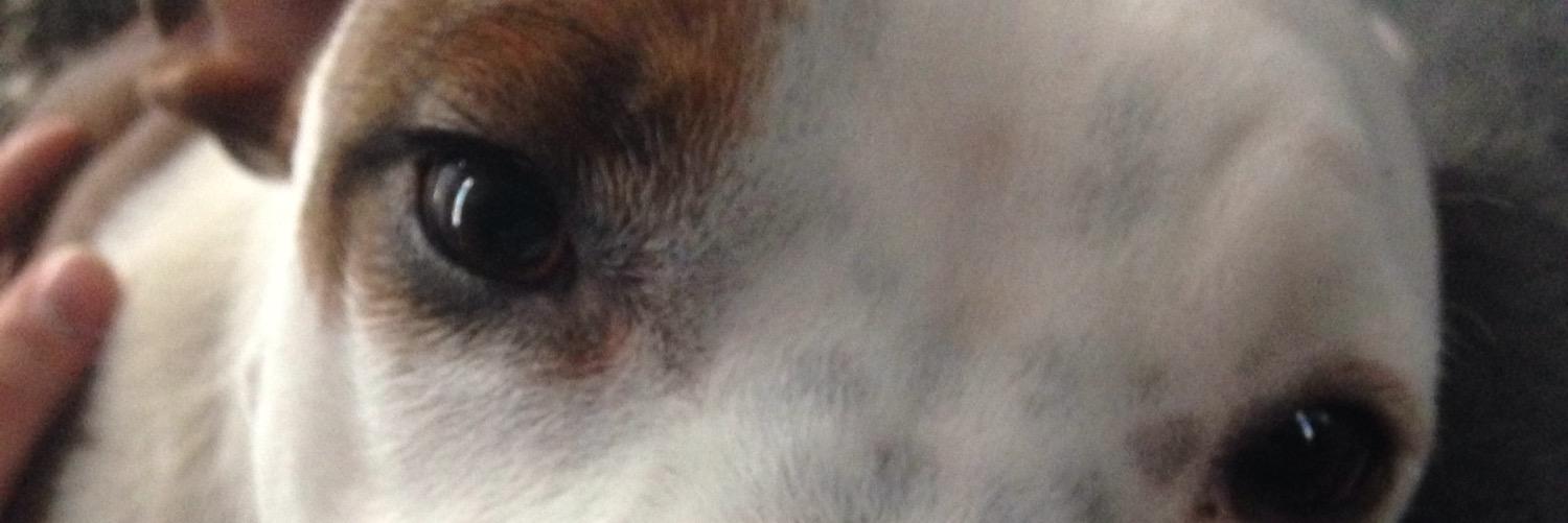 RePak_Sway's profile banner image