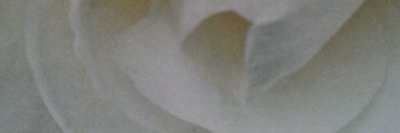 Darin Bruns banner