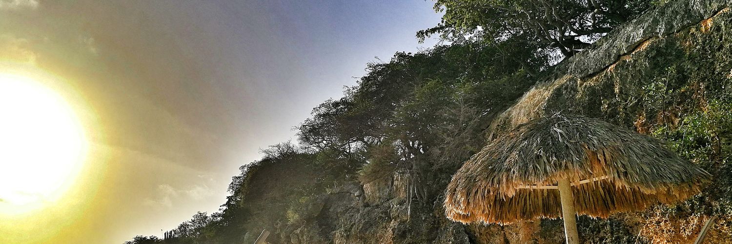 andregomezv's profile banner image