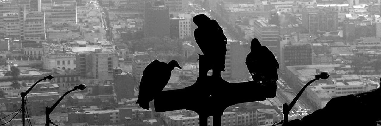 esteban_ar93's profile banner image